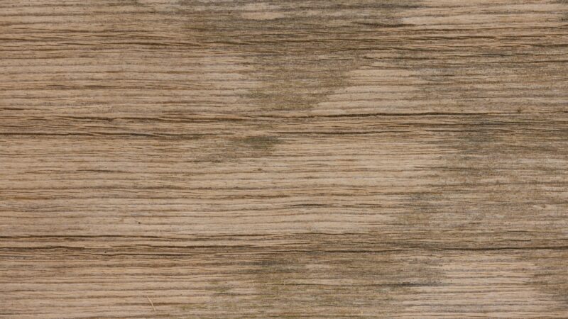 ecmrs-activités-carrelage-sols-souples